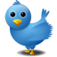 Twitter bird Icon