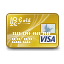 Visa Gold Icon