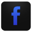 Facebook blueberry icon
