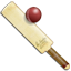 Cricket-64