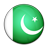 Flag of Pakistan-48