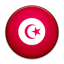 Flag of Tunisia icon