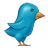 Painted Twitter Bird-48