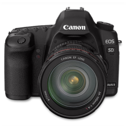 Canon 5D front up