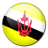 Brunei Flag-48