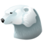 Polar bear-64