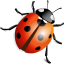 Ladybug-128