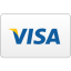 Visa Curved icon