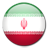 Iran Flag-48