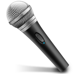 Professional Microphone-256