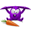 Violet Rabbit icon