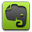Evernote green-32