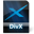 DivX File-32
