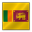 Sri Lanka flag-32