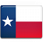 Texas Flag-48
