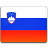 Slovenia Flag-48