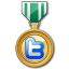 Twitter medal green icon