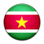 Flag of Suriname icon