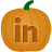 Linkedin Pumpkin-48