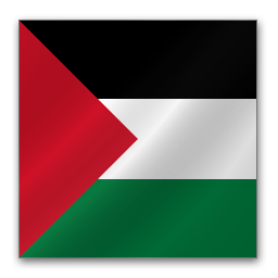 Palestine flag-256