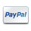 Paypal credit card Icon