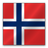 Norway flag-48