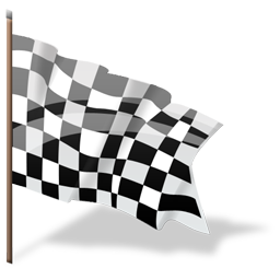 Checkered flag-256