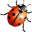 Ladybug-32