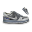 Nike Dunk Grey icon
