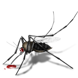 Mosquito-256