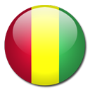 Guinea Flag-128