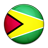 Flag of Guyana-48
