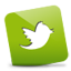 Twitter green icon