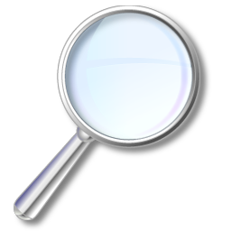 Search Magnifier
