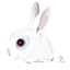 Rabbit zodiac Icon