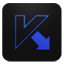 Kaspersky blueberry icon